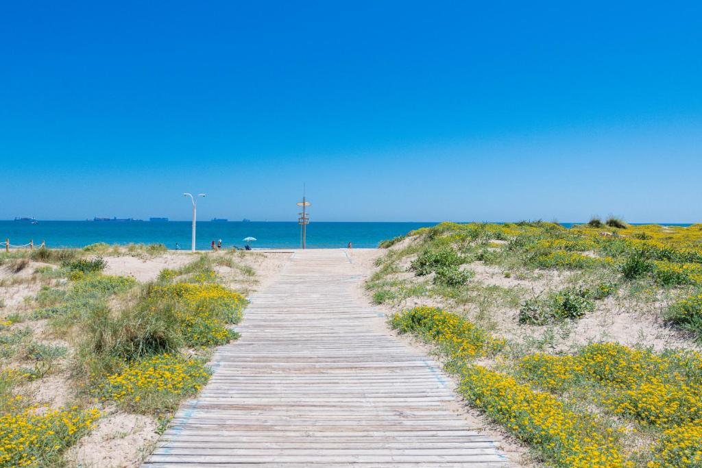 Dunas 02